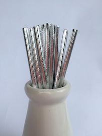 Solid Silver  - Paper Straws